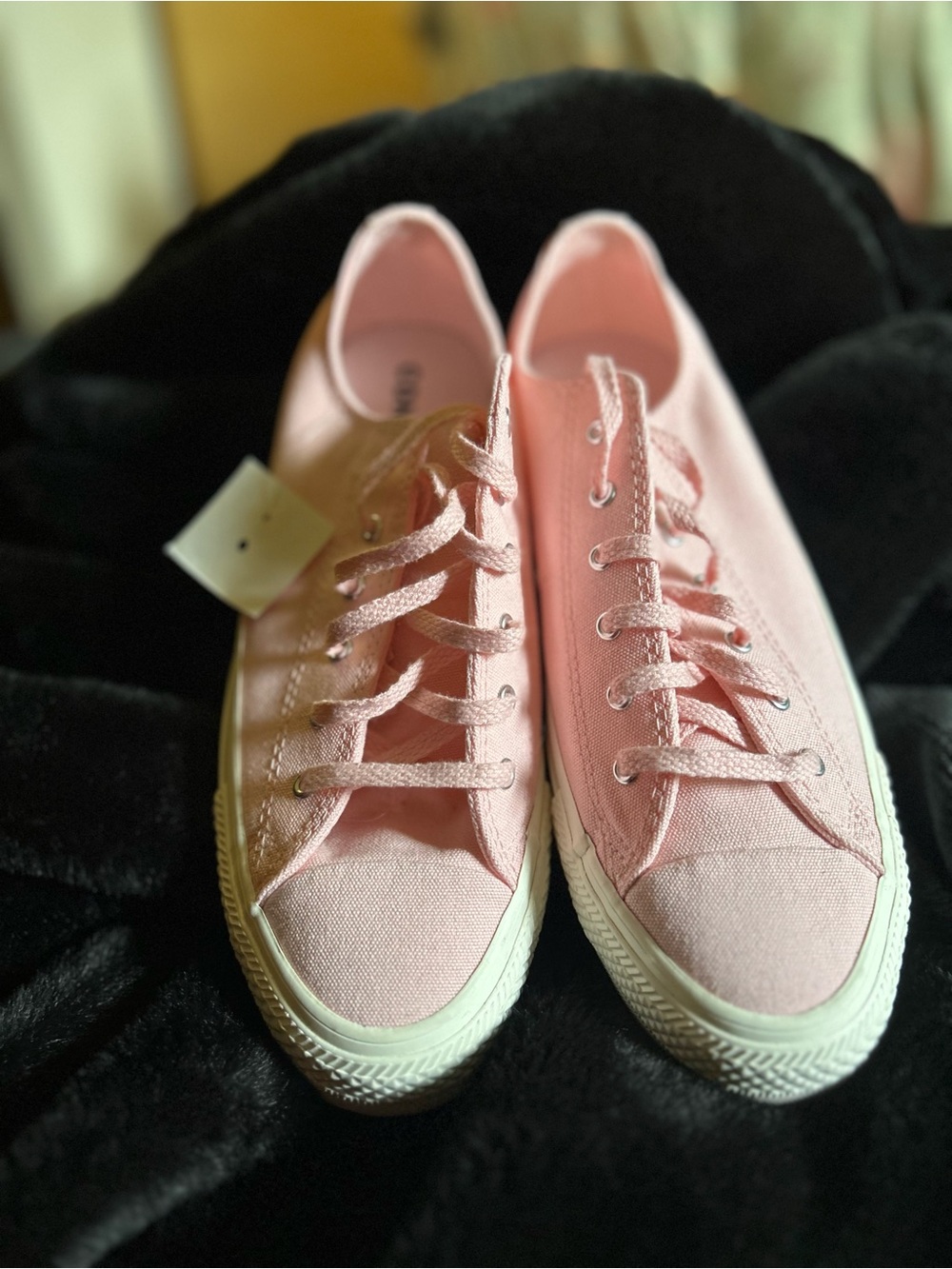 •BRAND NEW Women’s Pink Converse Canvas Lace-Up Sneakers